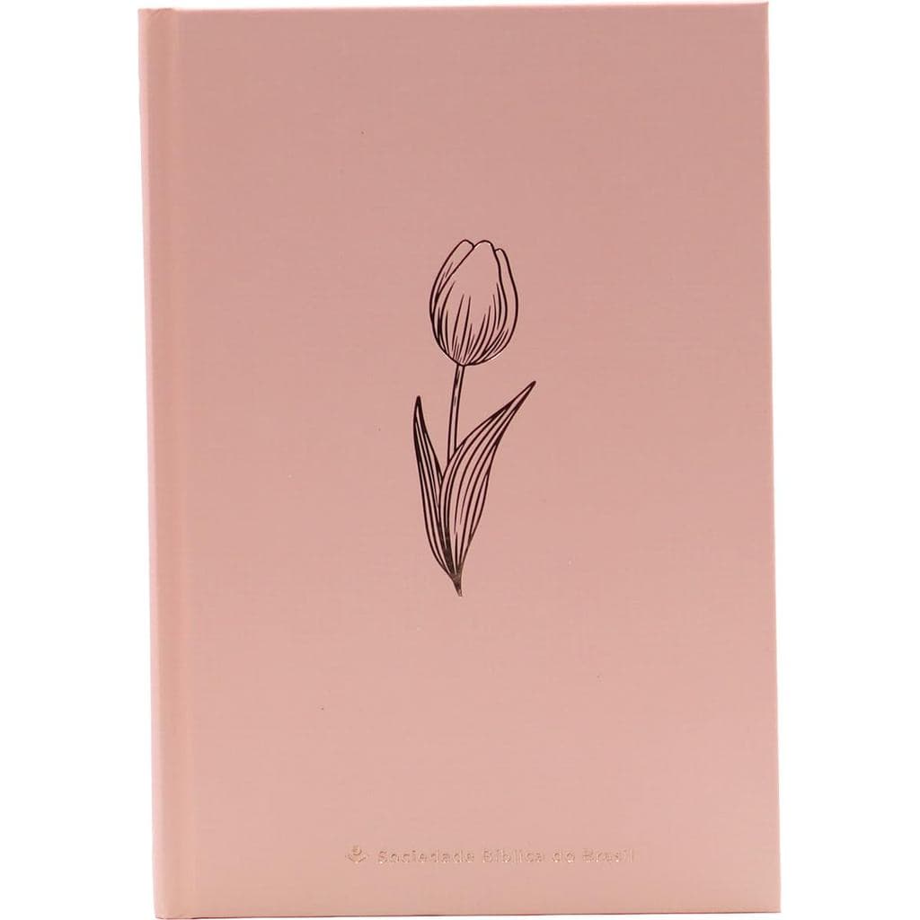 Bíblia Sagrada NAA | Letra Normal | PJV | Capa Dura | Rose