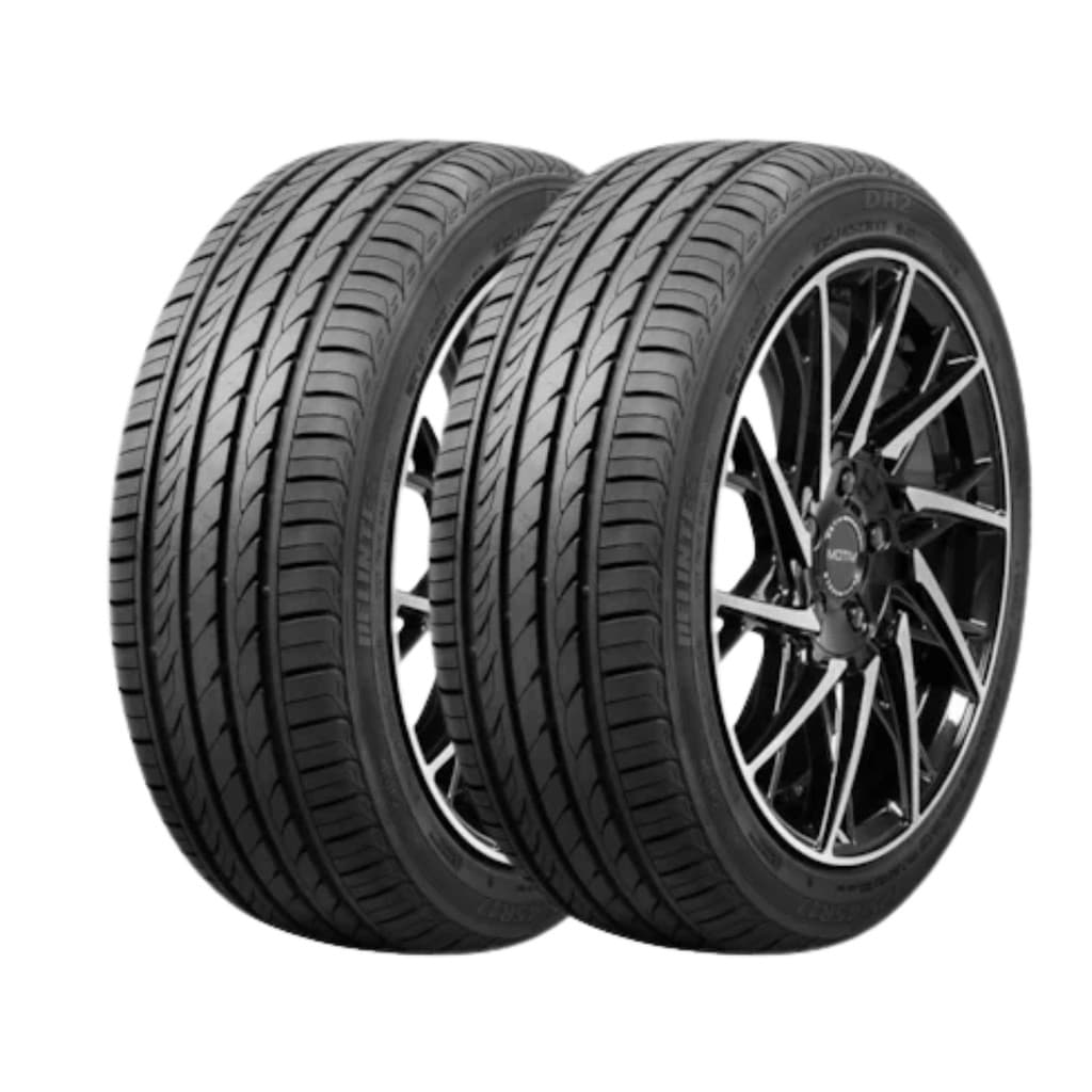 Kit 2 Pneus Delinte Aro 16 195/55 ZR16 87W DH2