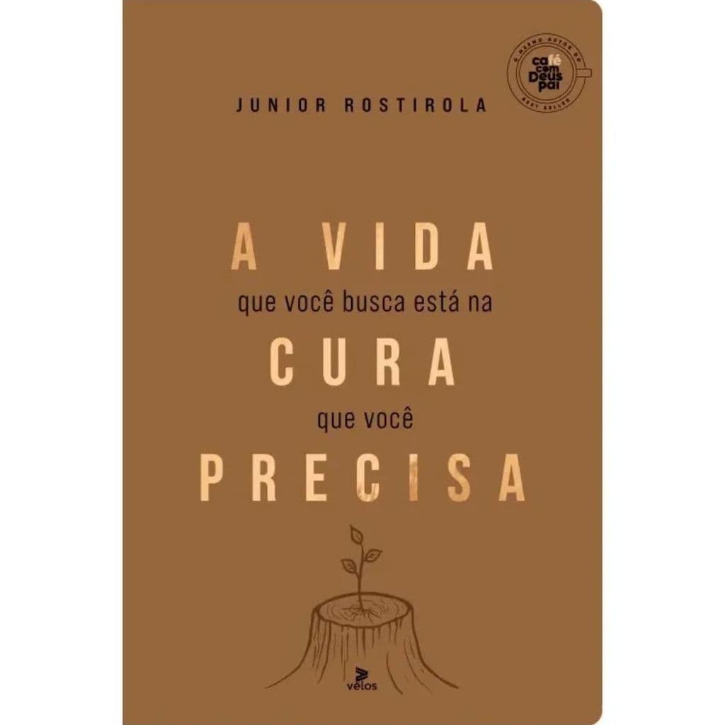 A Vida Que Você Busca Está Na Cura Que Você Precisa | Capa Dura | Junior Rostirola